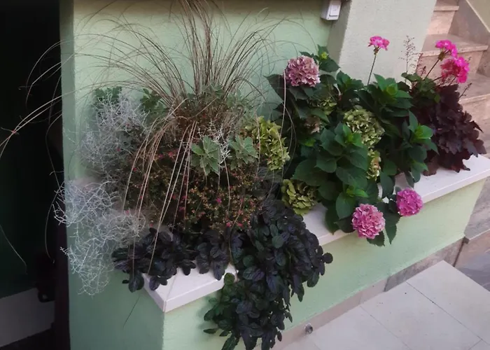 Affittacamere Barbir Sukošan