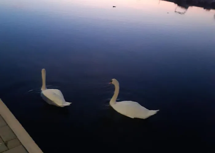 Barbir Гостевой дом